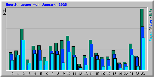 Hourly usage for January 2023