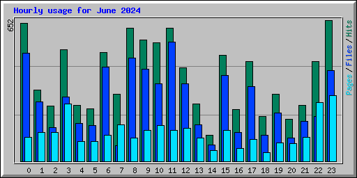 Hourly usage for June 2024