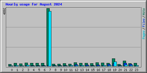 Hourly usage for August 2024