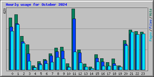 Hourly usage for October 2024