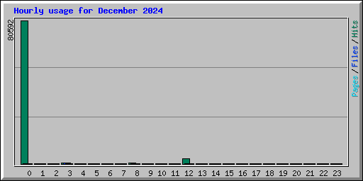 Hourly usage for December 2024