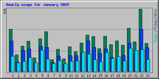 Hourly usage for January 2025