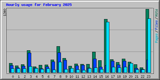 Hourly usage for February 2025
