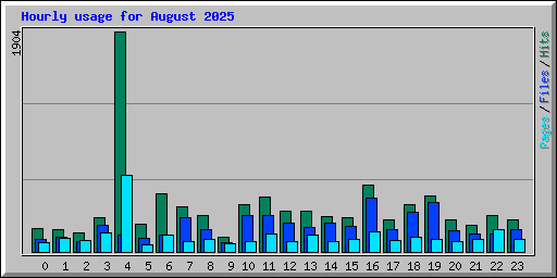 Hourly usage for August 2025