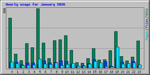 Hourly usage for January 2026
