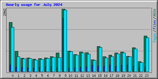 Hourly usage for July 2024