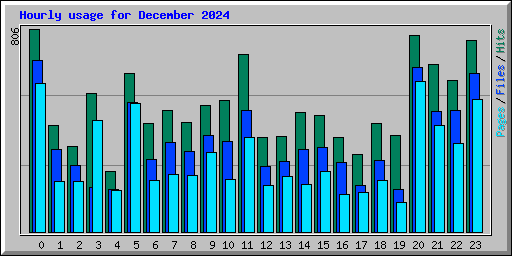 Hourly usage for December 2024