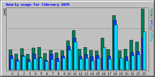 Hourly usage for February 2025