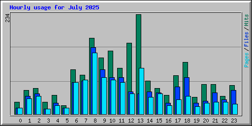 Hourly usage for July 2025