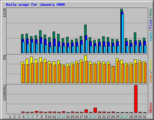 Daily usage for January 2008