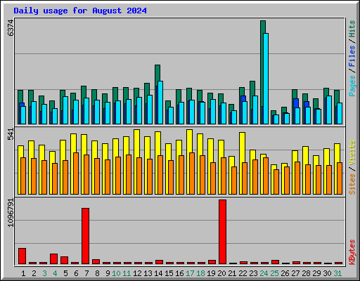 Daily usage for August 2024