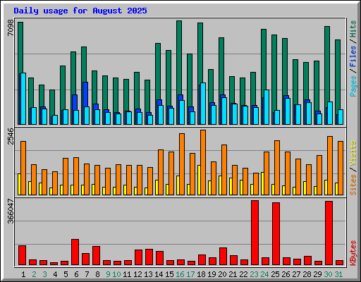 Daily usage for August 2025