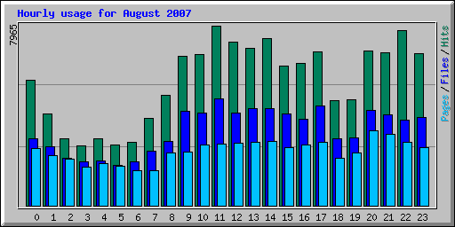 Hourly usage for August 2007