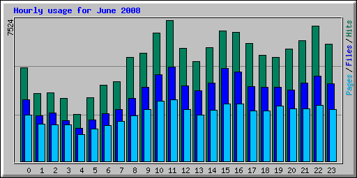 Hourly usage for June 2008