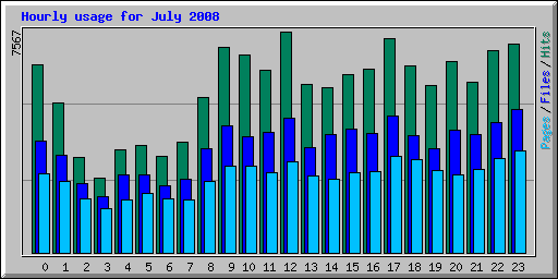 Hourly usage for July 2008