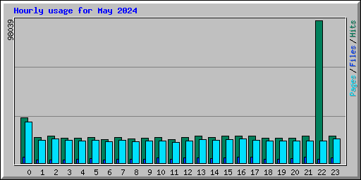 Hourly usage for May 2024