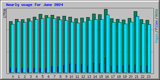 Hourly usage for June 2024