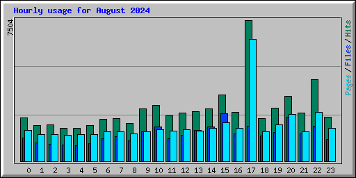 Hourly usage for August 2024