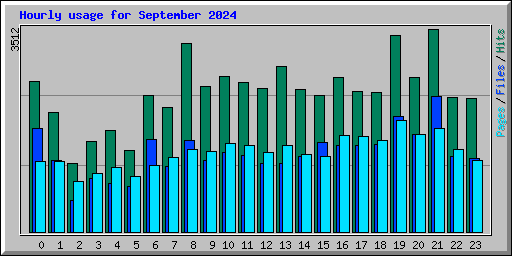 Hourly usage for September 2024