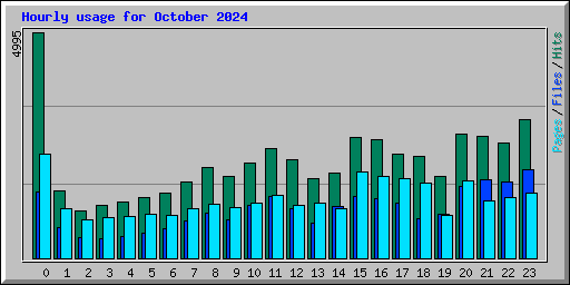 Hourly usage for October 2024