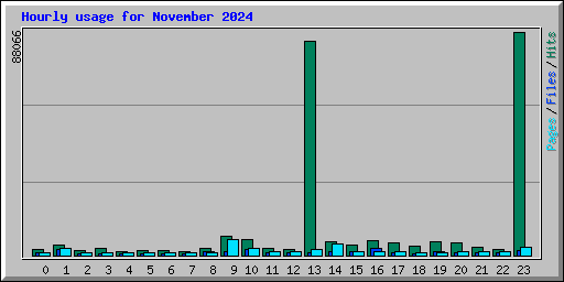 Hourly usage for November 2024