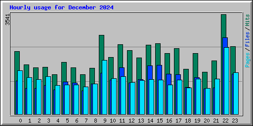 Hourly usage for December 2024