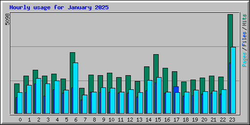 Hourly usage for January 2025