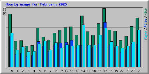 Hourly usage for February 2025