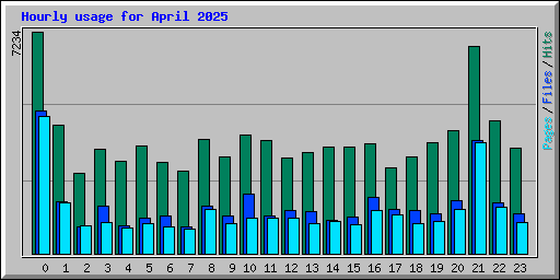 Hourly usage for April 2025