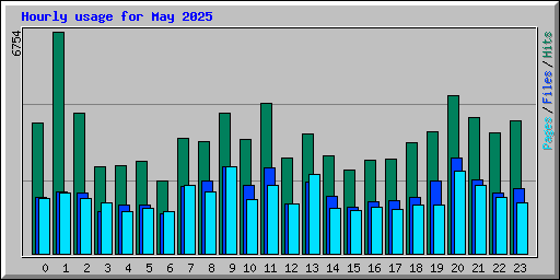 Hourly usage for May 2025