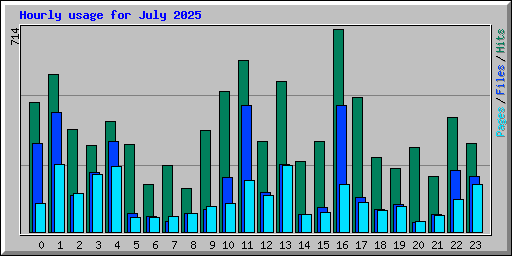 Hourly usage for July 2025