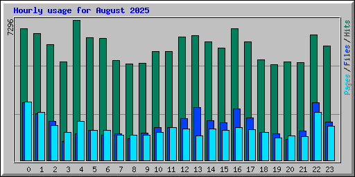 Hourly usage for August 2025