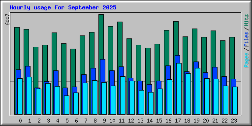 Hourly usage for September 2025