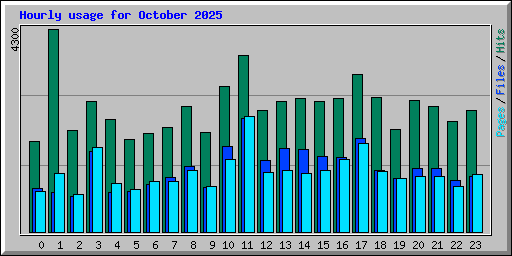 Hourly usage for October 2025