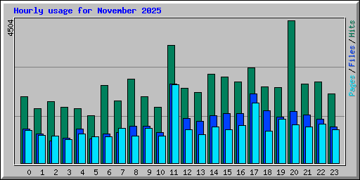 Hourly usage for November 2025