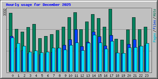 Hourly usage for December 2025