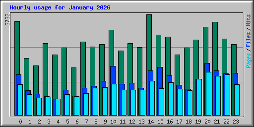 Hourly usage for January 2026