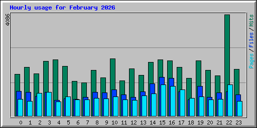 Hourly usage for February 2026