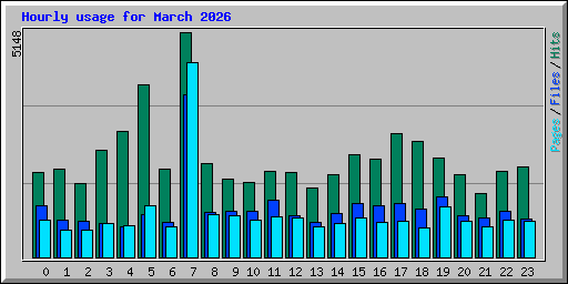 Hourly usage for March 2026