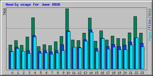 Hourly usage for June 2026