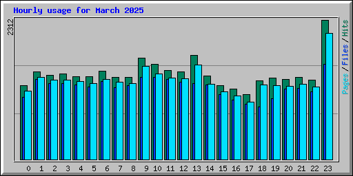 Hourly usage for March 2025