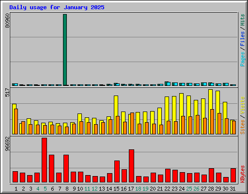 Daily usage for January 2025