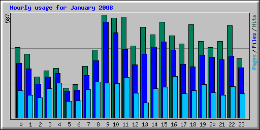 Hourly usage for January 2008