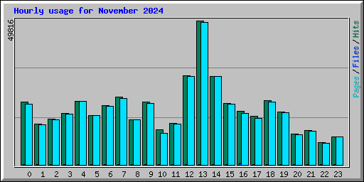 Hourly usage for November 2024