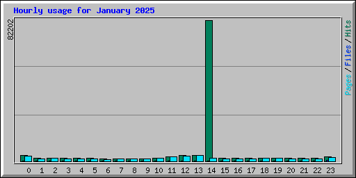 Hourly usage for January 2025