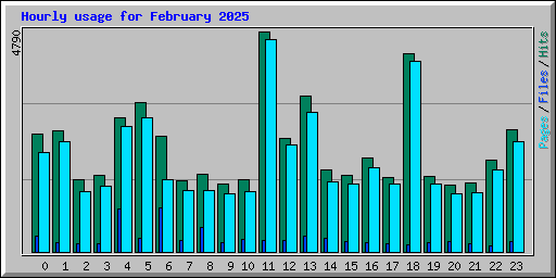 Hourly usage for February 2025