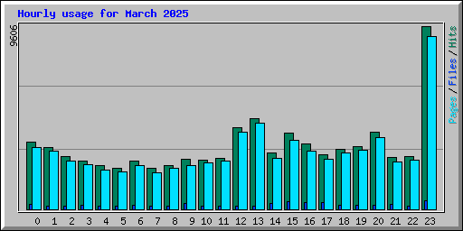 Hourly usage for March 2025
