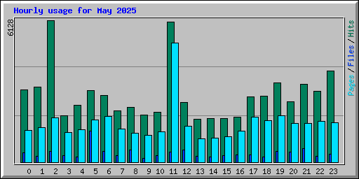 Hourly usage for May 2025