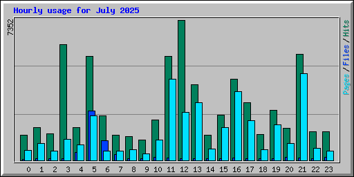 Hourly usage for July 2025