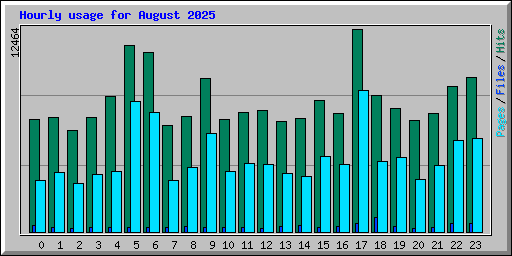 Hourly usage for August 2025